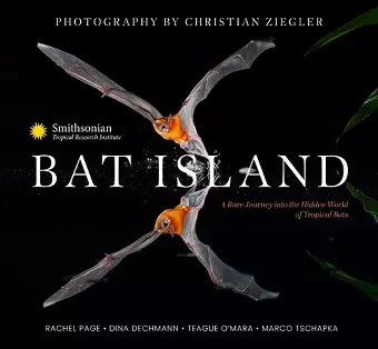 Bat Island cover