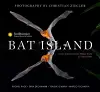 Bat Island cover