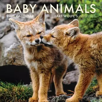 2026 Baby Animals Wall Calendar cover