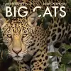 2026 Big Cats Wall Calendar cover