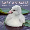 2027 Baby Animals Wall Calendar cover