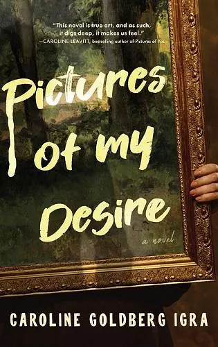 Pictures of My Desire cover