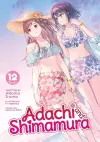 Adachi and Shimamura (Light Novel) Vol. 12 cover