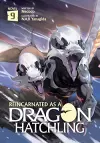 Reincarnated as a Dragon Hatchling (Light Novel) Vol. 9 cover