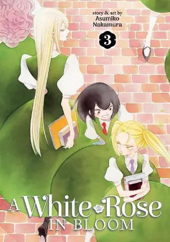 A White Rose in Bloom Vol. 3 cover