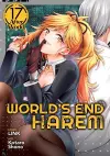 World's End Harem Vol. 17 - After World cover