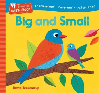 Barefoot Baby-Proof: Big and Small cover