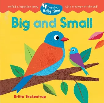 Barefoot Belly Time: Big and Small cover