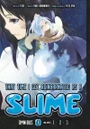 That Time I Got Reincarnated as a Slime Omnibus 1 (Vol. 1-3) cover