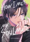 How I Met My Soulmate 5 cover