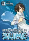 That Time I Got Reincarnated as a Slime 29 cover