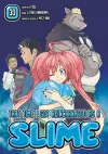 That Time I Got Reincarnated as a Slime 30 cover
