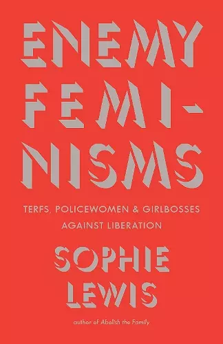 Enemy Feminisms cover