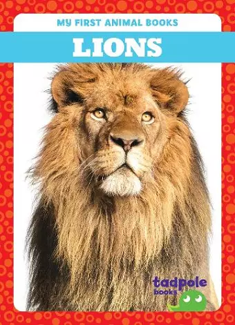 Lions cover