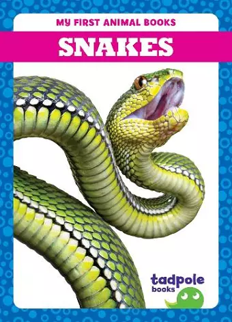 Snakes cover