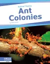 Ant Colonies cover