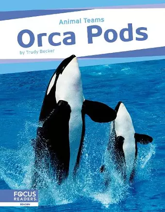 Orca Pods cover