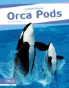 Orca Pods cover