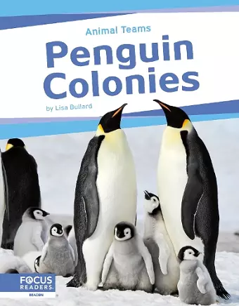 Penguin Colonies cover