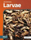 Larvae cover