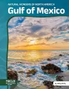 Gulf of Mexico cover