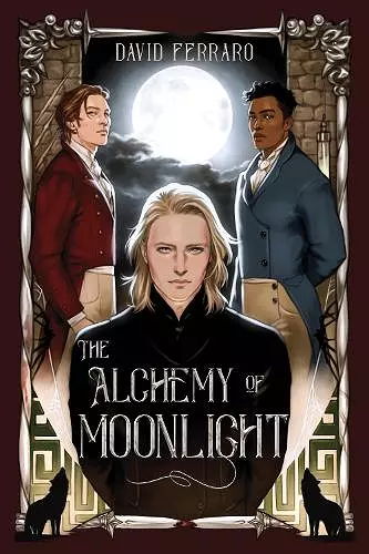 The Alchemy of Moonlight cover