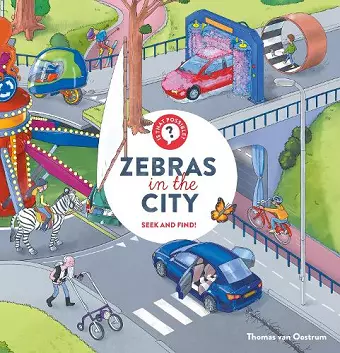 Zebras in the City cover