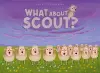 What About Scout? cover