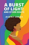 A Burst of Light cover