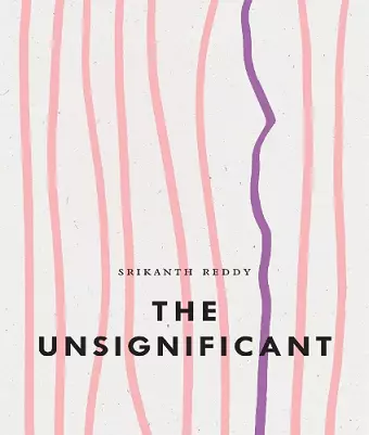 The Unsignificant cover