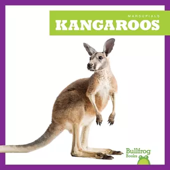 Kangaroos cover