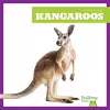 Kangaroos cover