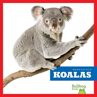 Koalas cover