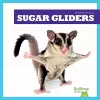 Sugar Gliders cover