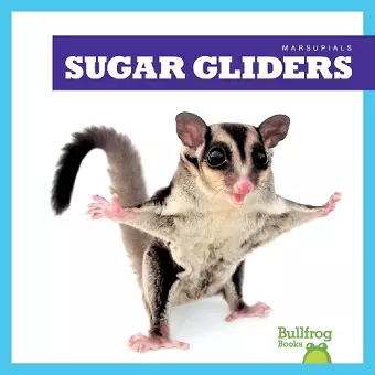 Sugar Gliders cover