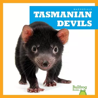 Tasmanian Devils cover