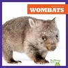 Wombats cover