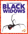 Black Widows cover
