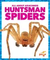 Huntsman Spiders cover