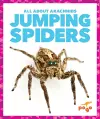 Jumping Spiders cover