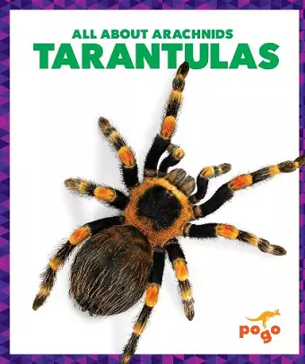Tarantulas cover