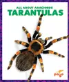 Tarantulas cover