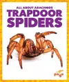 Trapdoor Spiders cover