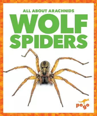Wolf Spiders cover