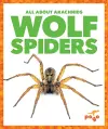 Wolf Spiders cover