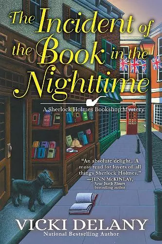 The Incident of the Book in the Nighttime cover
