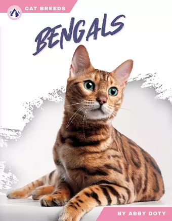 Bengals cover