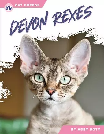 Devon Rexes cover