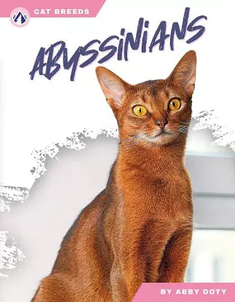 Abyssinians cover