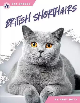 British Shorthairs cover